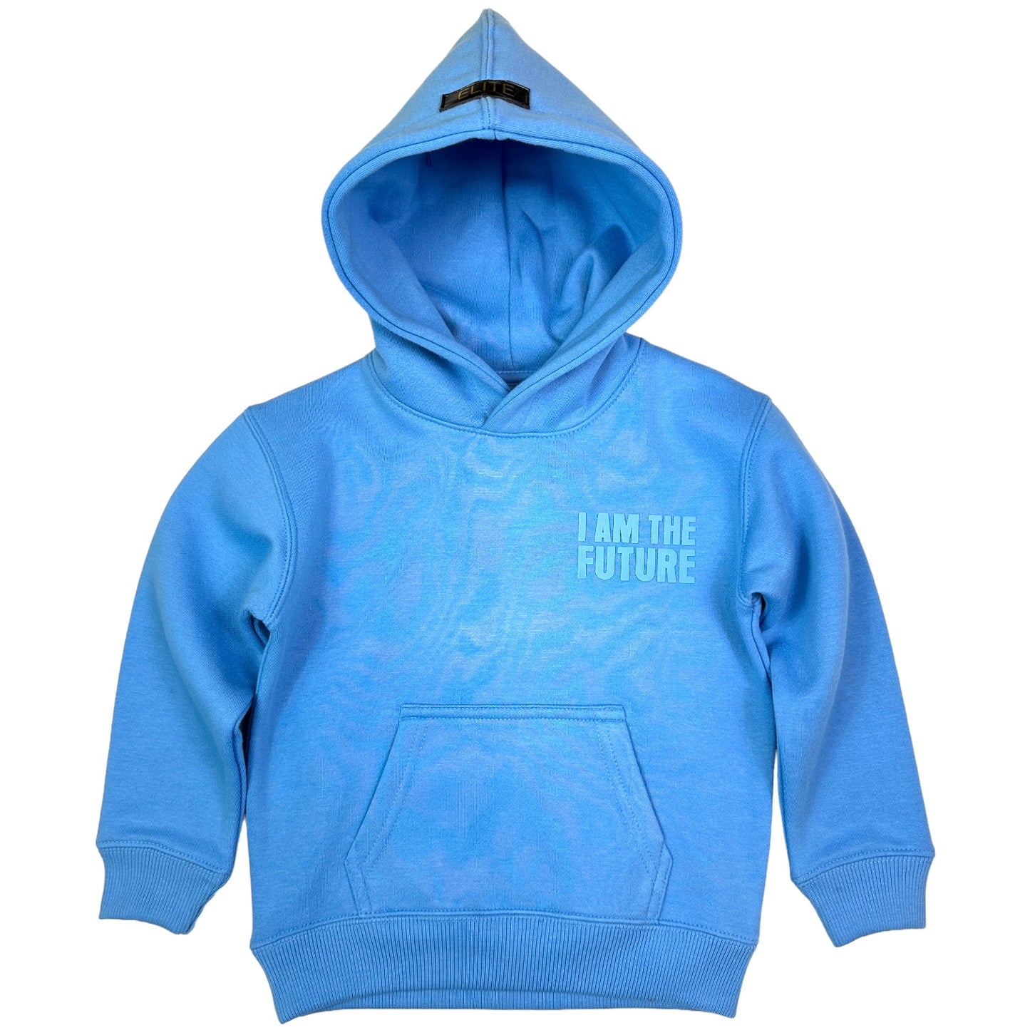 The Future Premium Kids Hoodie Baby Blue