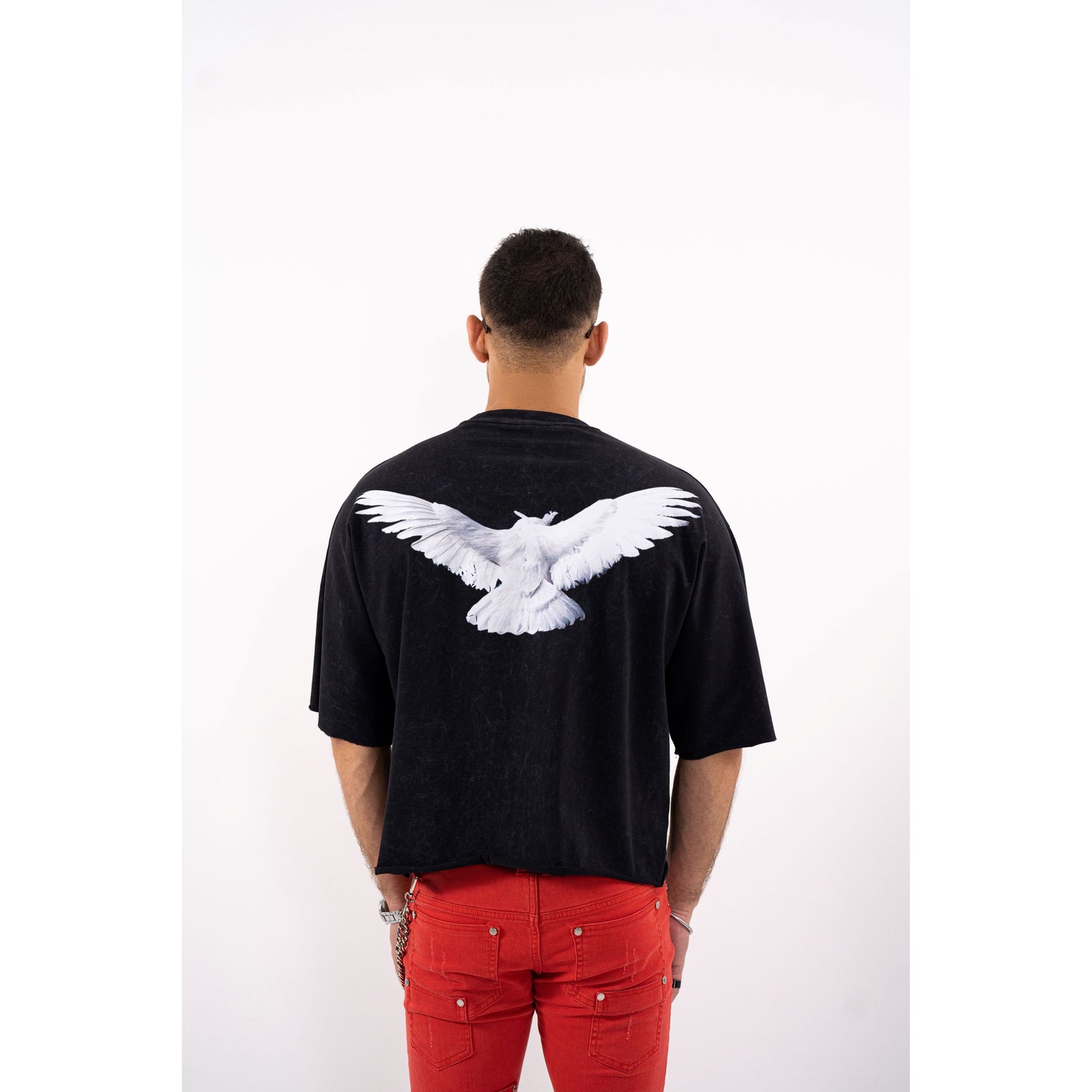 Dove Cropped Oversized Washed Premium Mens Tee