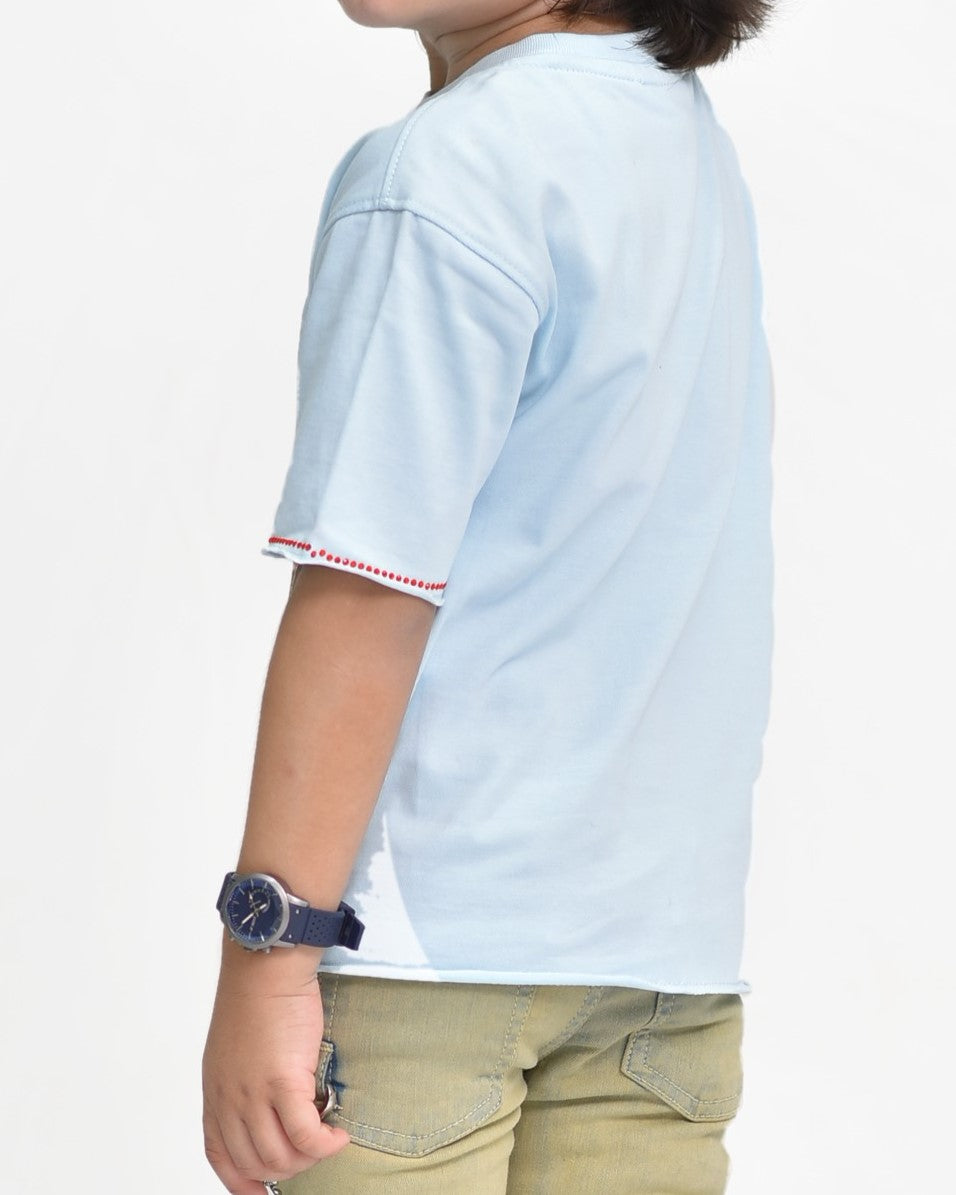 PRBLMS Stone Premium Kids Cropped Tee Baby Blue