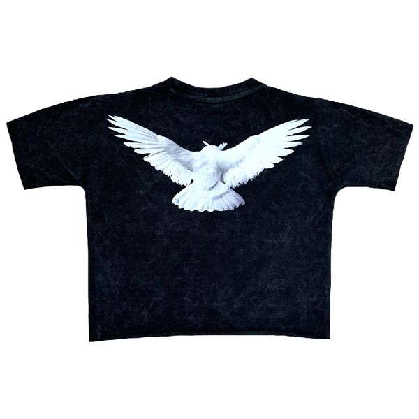 Dove Premium Washed Kids Cropped Tee Sky