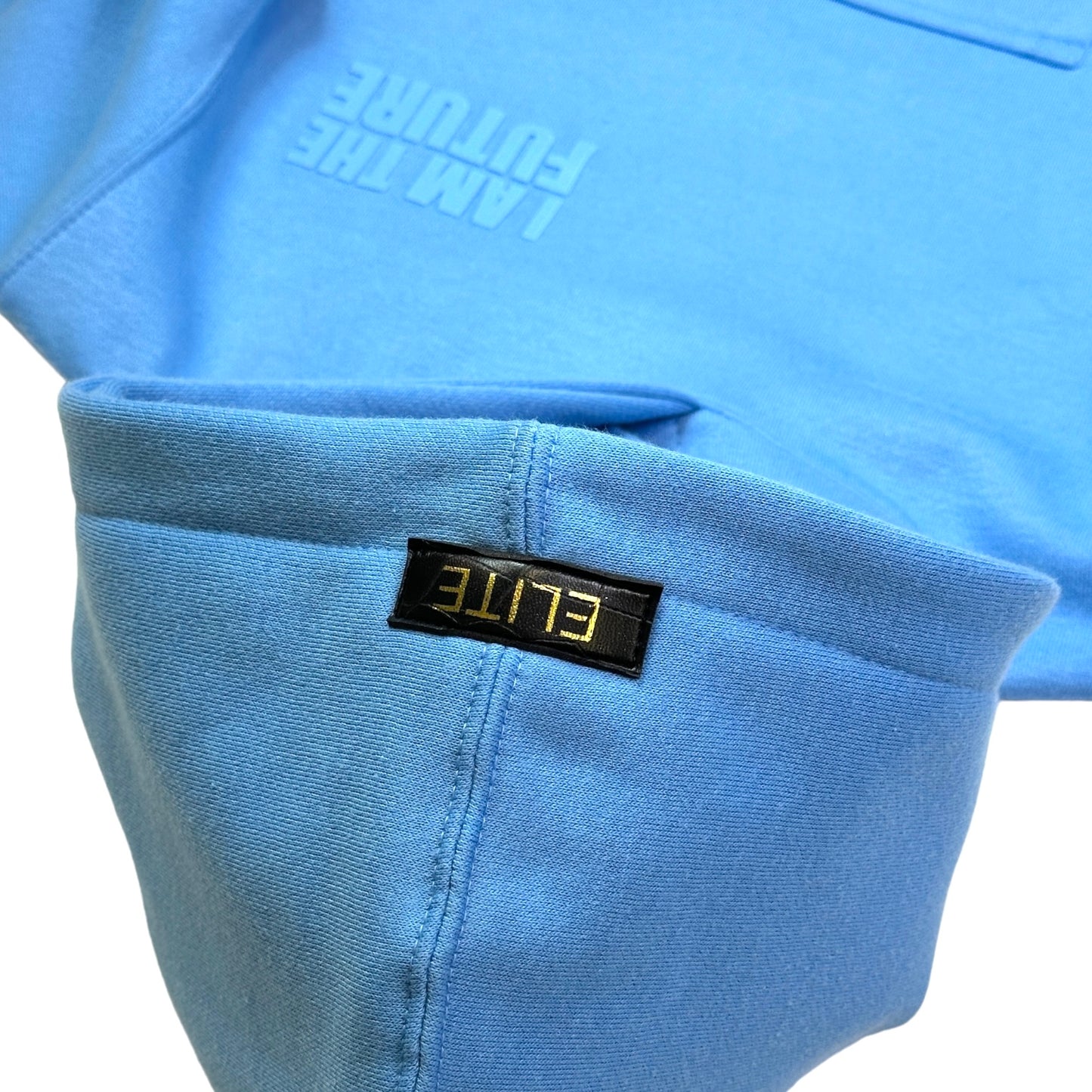 The Future Premium Kids Hoodie Baby Blue