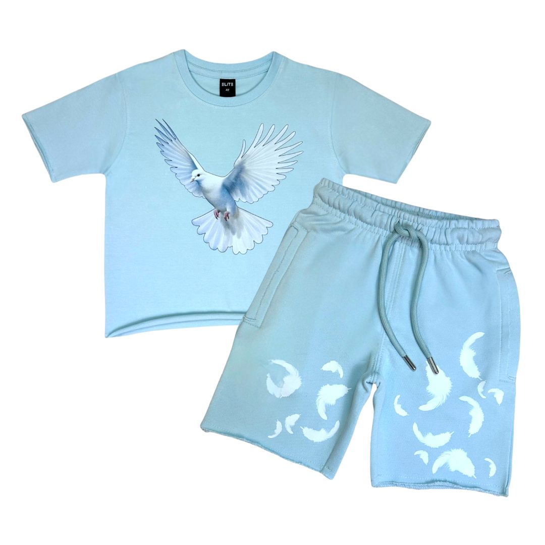 Dove Premium Washed Kids Cropped Tee and Shorts Set